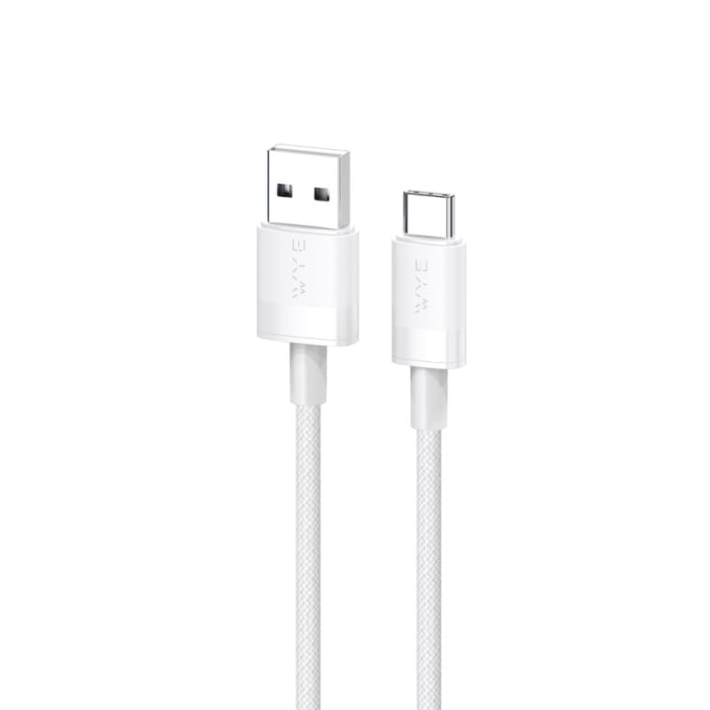 DC61 Braided Ultra Fast Charge/Sync Cable